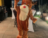 ANIMA Events & Promotion
