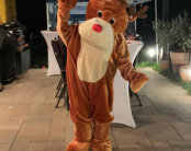 ANIMA Events & Promotion